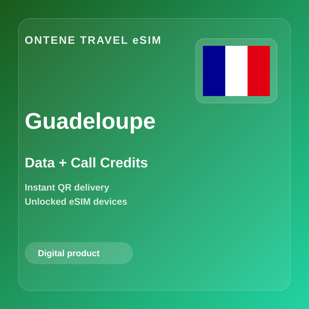 Ontene GP travel eSIM cover
