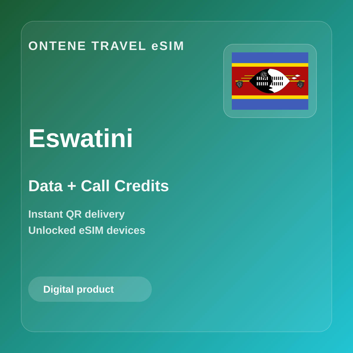 Ontene SZ travel eSIM cover