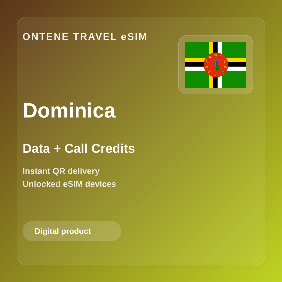 Ontene DM travel eSIM cover